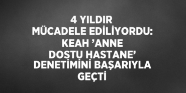 25167273902445226416tasarimli