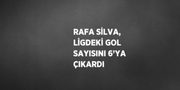 25168221752955026566