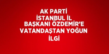 25169261132178523533tasarimli