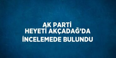 25177212902431830456tasarimli