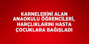 25179268092582720063tasarimli