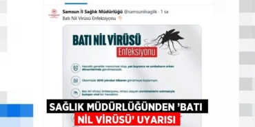 25185269473110628599tasarimli