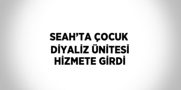 25200253793017925986tasarimli