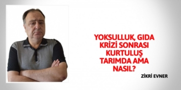 25203263783142123091