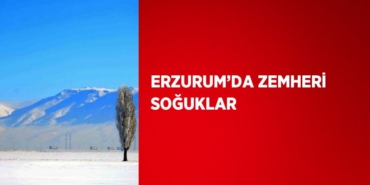 25207249372232831303