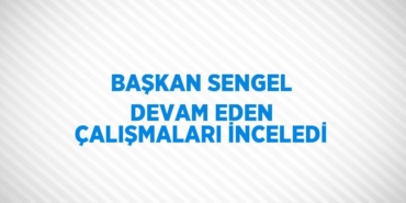 25208308033125826304tasarimli