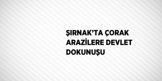 ŞIRNAK’TA ÇORAK ARAZİLERE DEVLET DOKUNUŞU