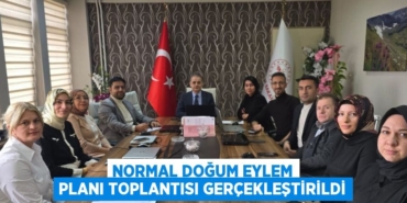 25214220862495223563tasarimli