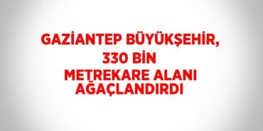 25221293932332322724tasarimli
