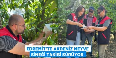 25222261912554530180tasarimli