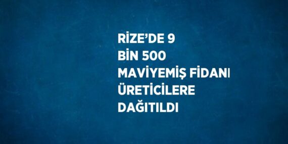 RİZE’DE 9 BİN 500 MAVİYEMİŞ FİDANI ÜRETİCİLERE DAĞITILDI