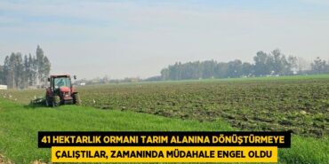 25232235222707124242tasarimli