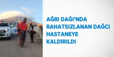 25232235822994227536