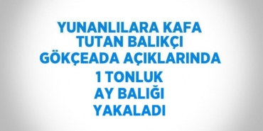 25237235942374326544tasarimli