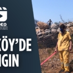 25238279572497523541