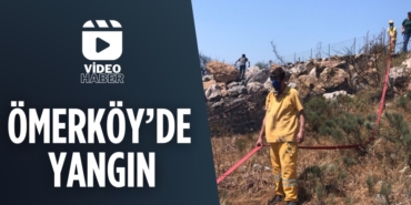 25238279572497523541