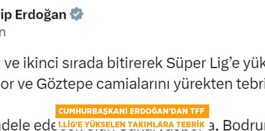 25240304832543422448tasarimli