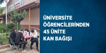 25241235853168726153