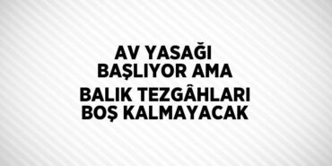 25241305212573728798tasarimli