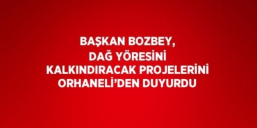 25242219603156422831tasarimli