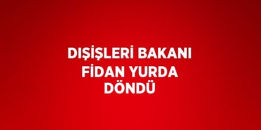 25242246432546222020tasarimli