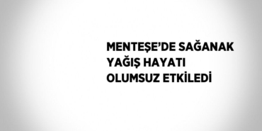 25243312702897928360