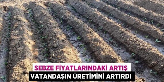 SEBZE FİYATLARINDAKİ ARTIŞ VATANDAŞIN ÜRETİMİNİ ARTIRDI