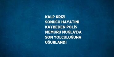 25246225032071221458