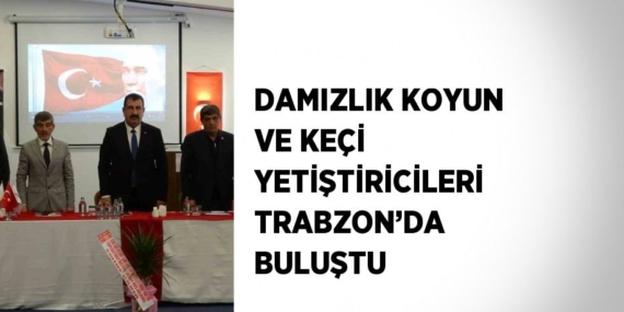 DAMIZLIK KOYUN VE KEÇİ YETİŞTİRİCİLERİ TRABZON’DA BULUŞTU
