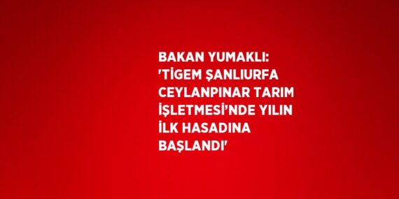 BAKAN YUMAKLI: ‘TİGEM ŞANLIURFA CEYLANPINAR TARIM İŞLETMESİ’NDE YILIN İLK HASADINA BAŞLANDI’