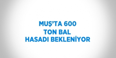 25255277422944628033tasarimli