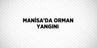 25262316923085321899tasarimli