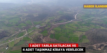 25263221042076231491tasarimli