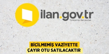 25263271922141425524tasarimli