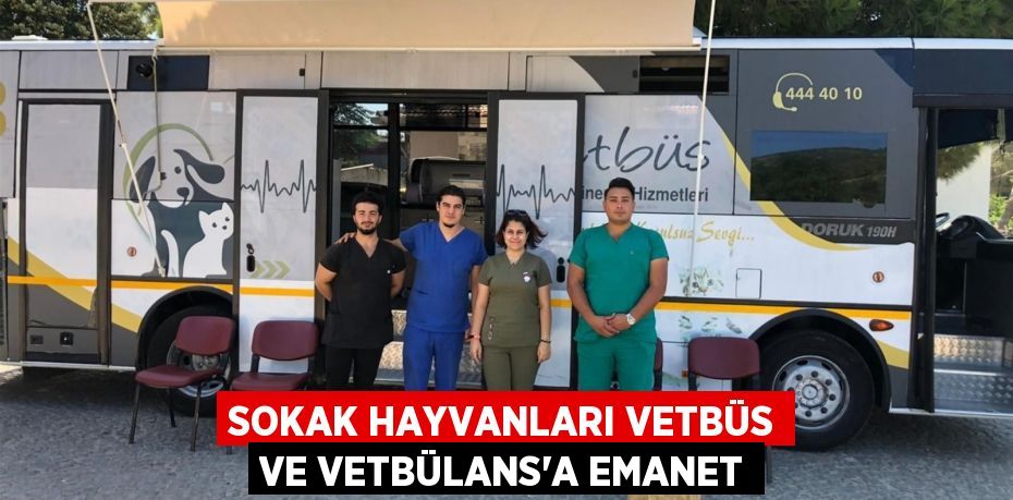 25269211492175531663tasarimli