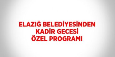 25270217152781526592tasarimli