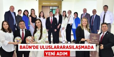 25280234752958330906tasarimli