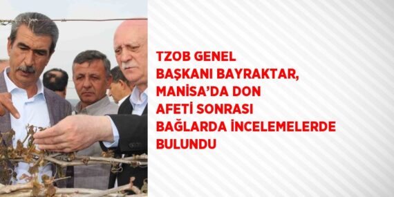 TZOB GENEL BAŞKANI BAYRAKTAR, MANİSA’DA DON AFETİ SONRASI BAĞLARDA İNCELEMELERDE BULUNDU