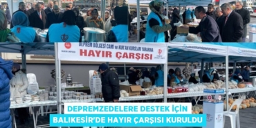25286263632242824705tasarimli