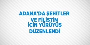 25301247562743723525tasarimli