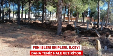 25307213173118324137tasarimli