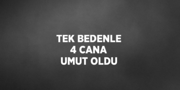 25310236692751922788tasarimli