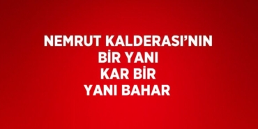 25318225863172221654tasarimli