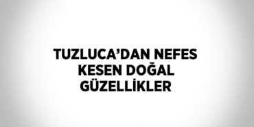 25321241512892526556tasarimli