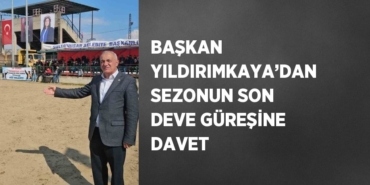 25330202762148726215