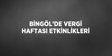 25334234733077430951tasarimli