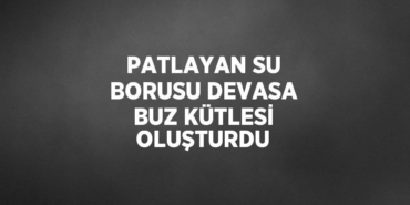 25338206483015530134tasarimli