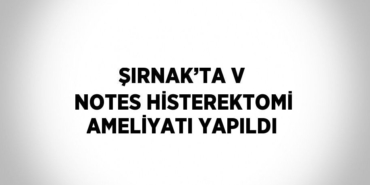 25342230592688221443tasarimli