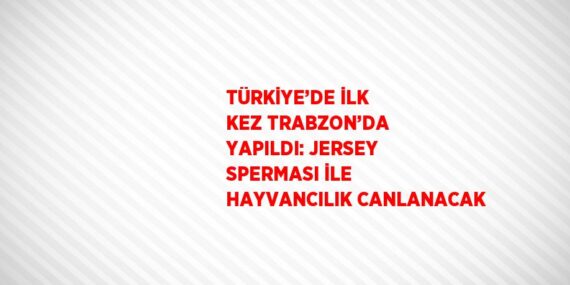 TÜRKİYE’DE İLK KEZ TRABZON’DA YAPILDI: JERSEY SPERMASI İLE HAYVANCILIK CANLANACAK
