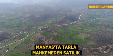 25356245183009321276tasarimli
